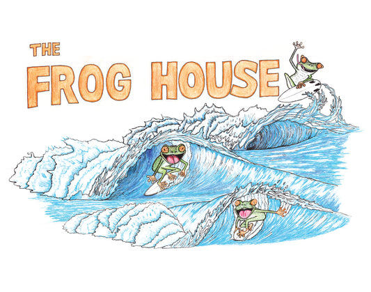 The Frog House! Original Drawing